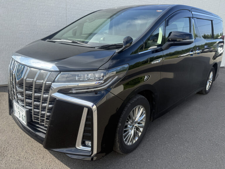 I-Toyota Alphard 3rd Generation 4WD (4)